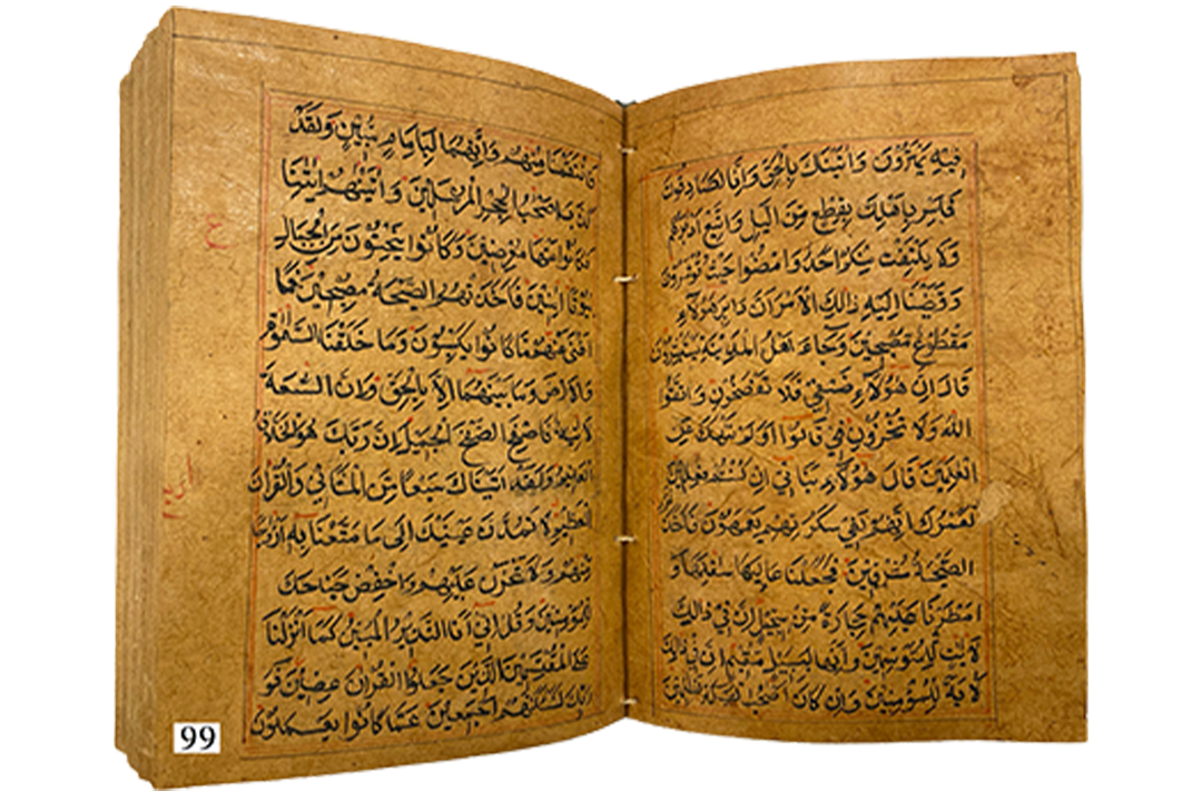 1667040979-54170.png