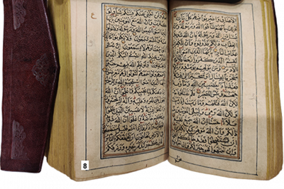الرقم التسلسلي 8