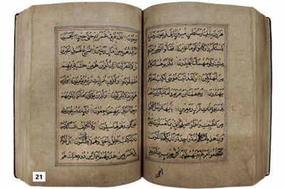 الرقم التسلسلي 21