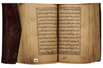 الرقم التسلسلي 29