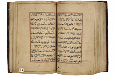 الرقم التسلسلي 25