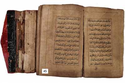 الرقم التسلسلي 45