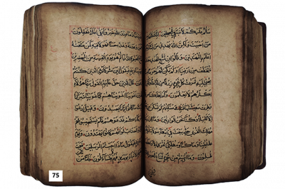 الرقم التسلسلي 75